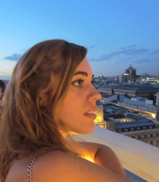 Vistas desde la terraza del Círculo de Bellas Artes, 2011