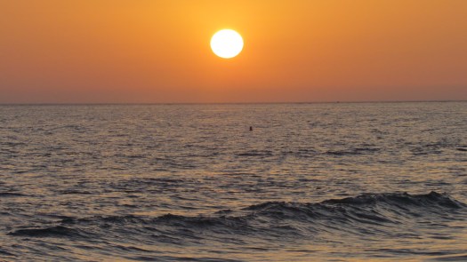 Playa de Conil de la Frontera, 2013