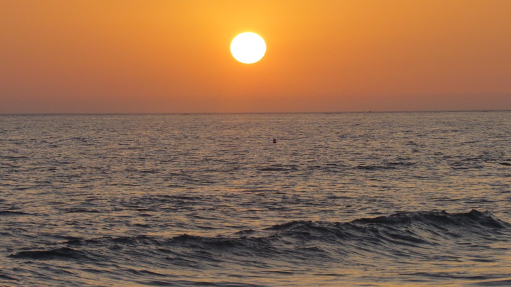 Playa de Conil de la Frontera, 2013