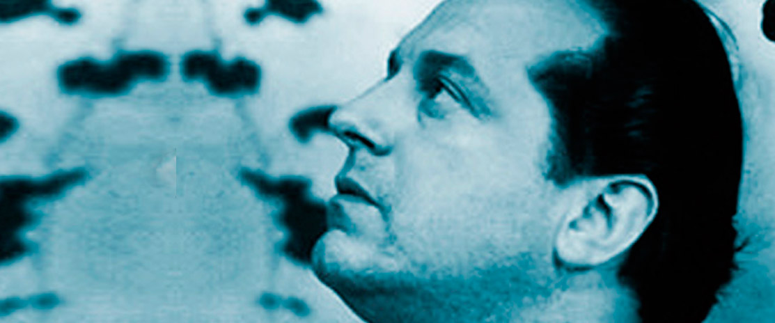 alberti